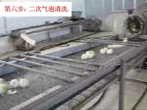 紅皮洋蔥（cōng）前處理和（hé）幹（gàn）燥（zào）流水線