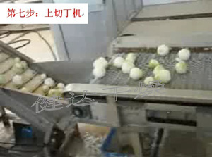 紅皮洋蔥前（qián）處理和幹燥流水線