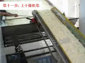 紅（hóng）皮洋蔥前處理和幹燥（zào）流水線