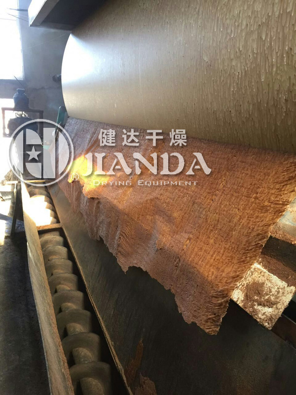 雙滾（gǔn）筒刮板幹燥機