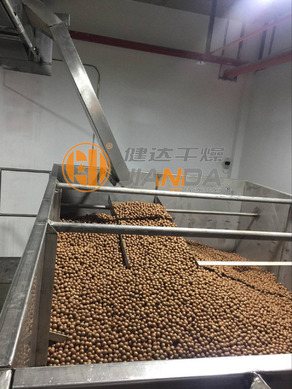 堅果幹（gàn）燥生（shēng）產線上料